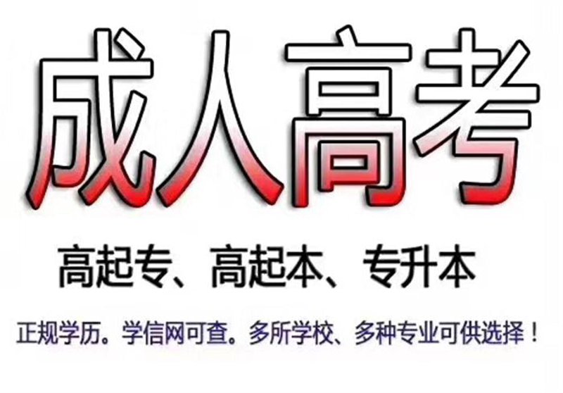 自学考试培训：学习之路上的灯塔